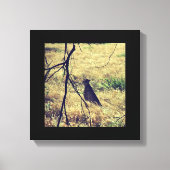 Geparde in Samburu Leinwanddruck (Vorderseite)