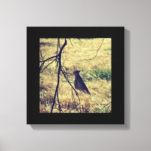 Geparde in Samburu Leinwanddruck (Vorderseite)