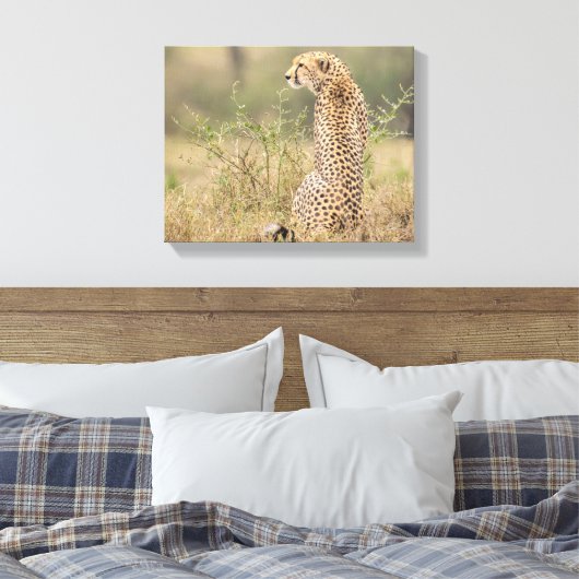 Geparde in wilder Umgebung gezackte Leinwand Print (Insitu (Schlafzimmer))