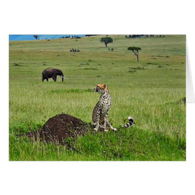 Gepardelefant (Vorderseite (Horizontal))