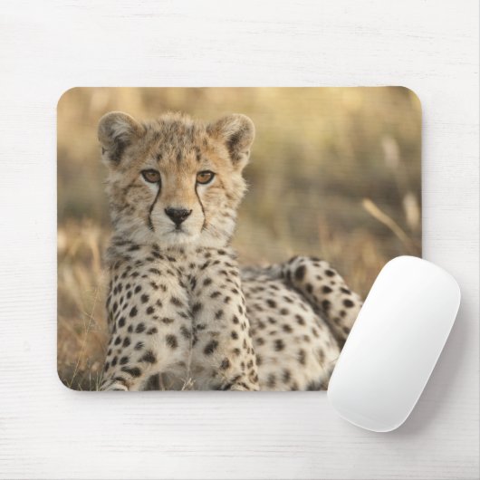Geparden, Acinonyx jubatus Mousepad (Mit Mouse)