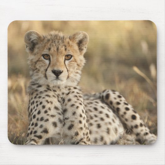 Geparden, Acinonyx jubatus Mousepad (Vorne)