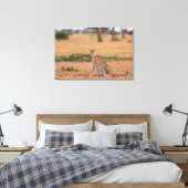 Geparden am frühen Morgen Leinwanddruck (Insitu (Schlafzimmer))