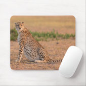Geparden am frühen Morgen Mousepad (Mit Mouse)