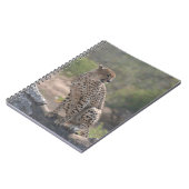 Geparden auf einem gefallenen Baum in freier Wildb Notizblock (Linke Seite)