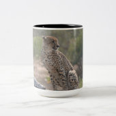 Geparden auf einem gefallenen Baum in freier Wildb Zweifarbige Tasse (Mittel)