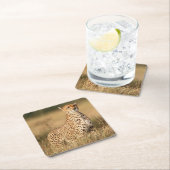 Geparden auf kleinen Hügeln für bessere Sichtbarke Rechteckiger Pappuntersetzer (Vor Ort)