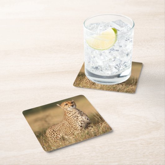 Geparden auf kleinen Hügeln für bessere Sichtbarke Rechteckiger Pappuntersetzer (Vor Ort)