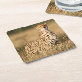 Geparden auf kleinen Hügeln für bessere Sichtbarke Rechteckiger Pappuntersetzer (angewinkelt)