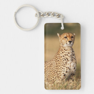 Geparden auf kleinen Hügeln für bessere Sichtbarke Schlüsselanhänger