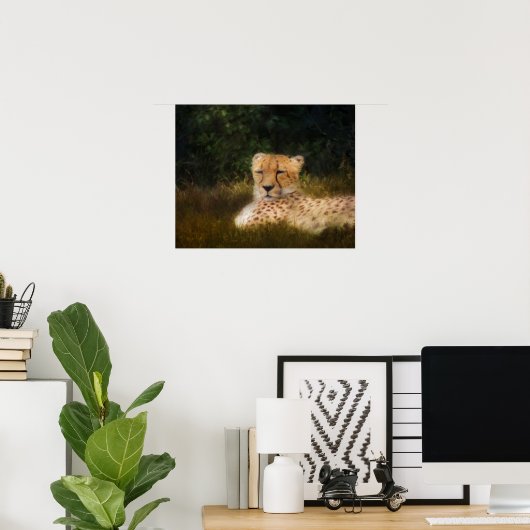 Geparden bei Fossil Rim Poster (Heimbüro)