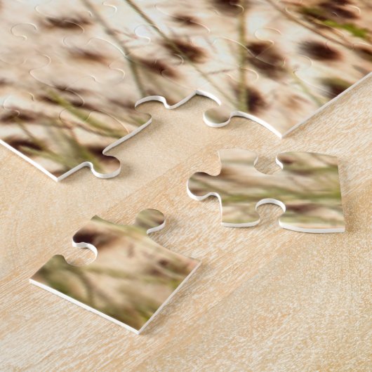 Geparden, die in Gras liegen, Erhaltung von Ngoron Puzzle (Seite)