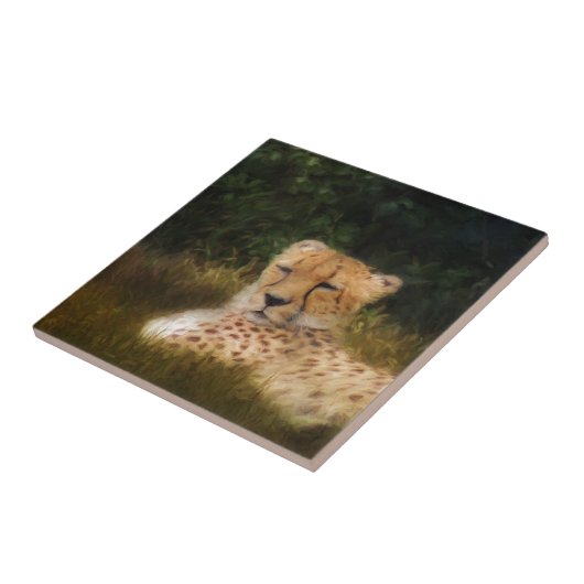 Geparden im Fossil Rim Wildlife Centre Fliese (Seite)