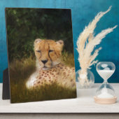 Geparden im Fossil Rim Wildlife Centre Fotoplatte (Seite)