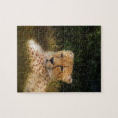Geparden im Fossil Rim Wildlife Centre Puzzle (Horizontal)