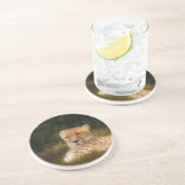 Geparden im Fossil Rim Wildlife Centre Sandstein Untersetzer (Seite)