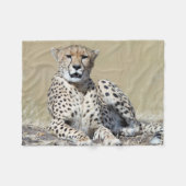 Geparden im Masai Mara im kenianischen Foto Fleecedecke (Vorderseite (Horizontal))