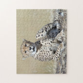 Geparden im Masai Mara im kenianischen Foto Puzzle (Vertikal)