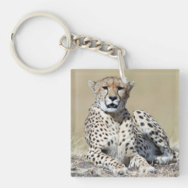 Geparden im Masai Mara im kenianischen Foto Schlüsselanhänger