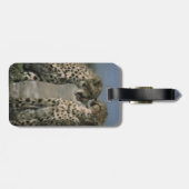 Geparden in Liebe Gepäckanhänger (Rückseite horizontal)