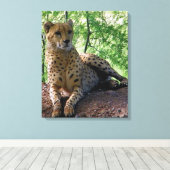 Geparden-Leinwand Leinwanddruck (Insitu (Holzboden))