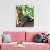 Geparden-Leinwand Leinwanddruck (Insitu (Wohnzimmer))