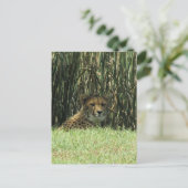 Geparden Postkarte (Stehend Vorderseite)