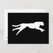 Geparden Postkarte (Vorne/Hinten)