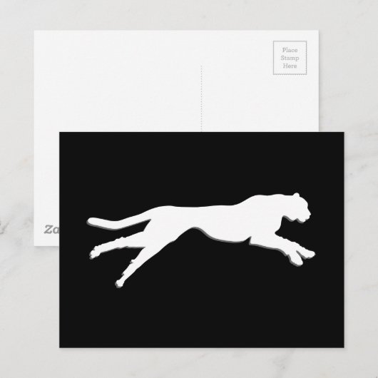 Geparden Postkarte (Vorne/Hinten)