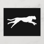 Geparden Postkarte (Vorderseite)