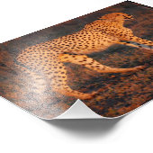 Geparden Südafrika bei Sunset Fotodruck (Ecke)