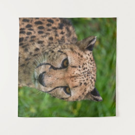 Geparden Wandteppich (Vorderseite (Horizontal))