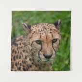 Geparden Wandteppich (Vorderseite)