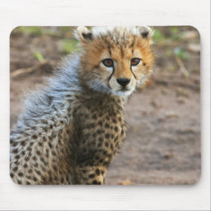 Gepardenjunges Acinonyx Jubatus) Mousepad