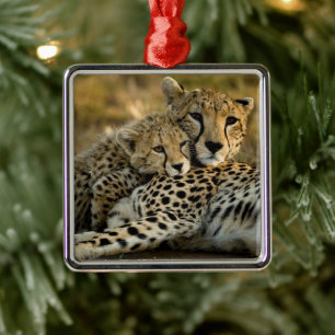 Gepardenjunges kuschelt mit seiner Mutter Ornament Aus Metall