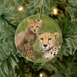 Gepardenjunges und Elternteil im Gras Keramik Ornament