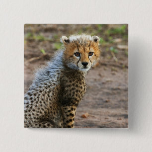 Gepardenjungtier Acinonyx Jubatus) Button