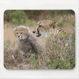 Gepardenmutter und Jungtier Mousepad