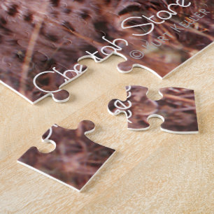 Gepardenstarre Puzzle