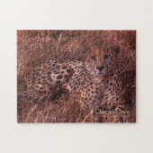 Gepardenstarre Puzzle (Horizontal)