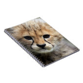 Gepardjunges Notizblock (Rechte Seite)