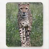 GepardMausunterlage Mousepad (Vorne)