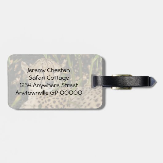 Gepardphotographie Gepäckanhänger (Rückseite horizontal)