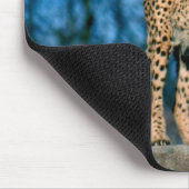 Gepardtier Mousepad (Ecke)