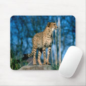 Gepardtier Mousepad (Mit Mouse)