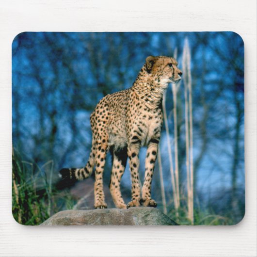Gepardtier Mousepad (Vorne)