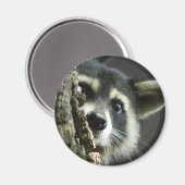 geplagt magnet (Vorderseite/Rückseite)