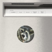 geplagt magnet (In Situ (Geschirrspüler))