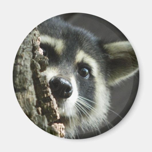 geplagt magnet (Vorne)