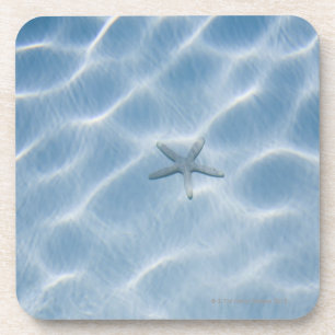 Geplätschertes blaues Wasser mit Starfish Getränkeuntersetzer